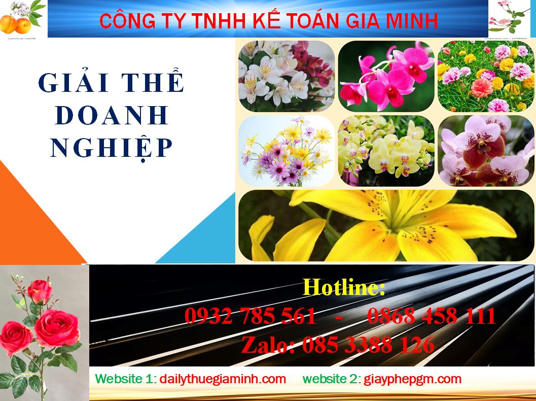 Thủ tục tư vấn giải thể công ty ở quận Ninh Kiều