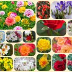 Tư vấn giải thể công ty ở Quận Tân Bình 6 Muốn tư vấn giải thể công ty ở Quận Tân Bình