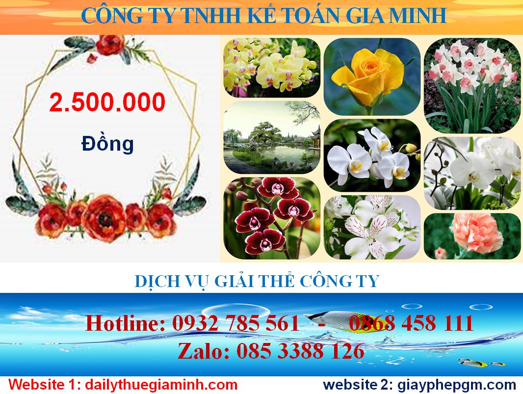 Tư vấn giải thể công ty ở Quận Tân Bình 5 Chi phí tư vấn giải thể doanh nghiệp ở Quận Tân Bình