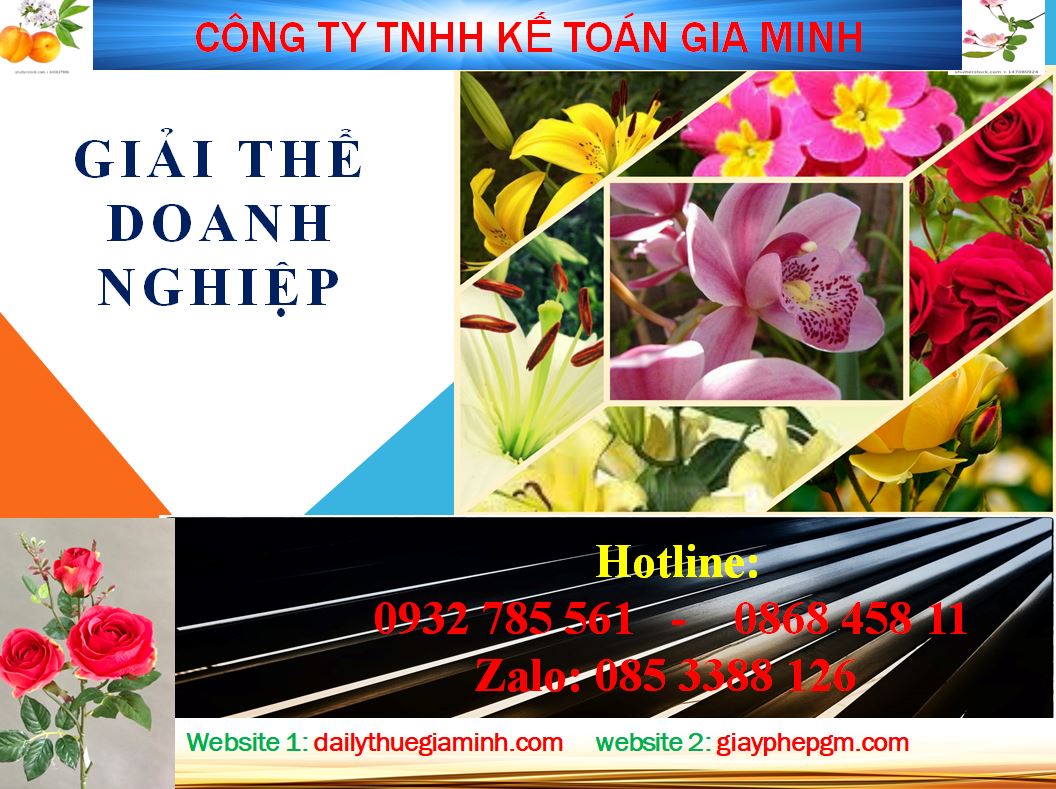 Tư vấn giải thể công ty ở Quận Tân Bình 4 Tư vấn giải thể công ty ở Quận Tân Bình