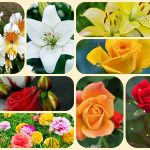 Tư vấn giải thể công ty ở Quảng Nam 6 Muốn tư vấn giải thể công ty ở Quảng Nam