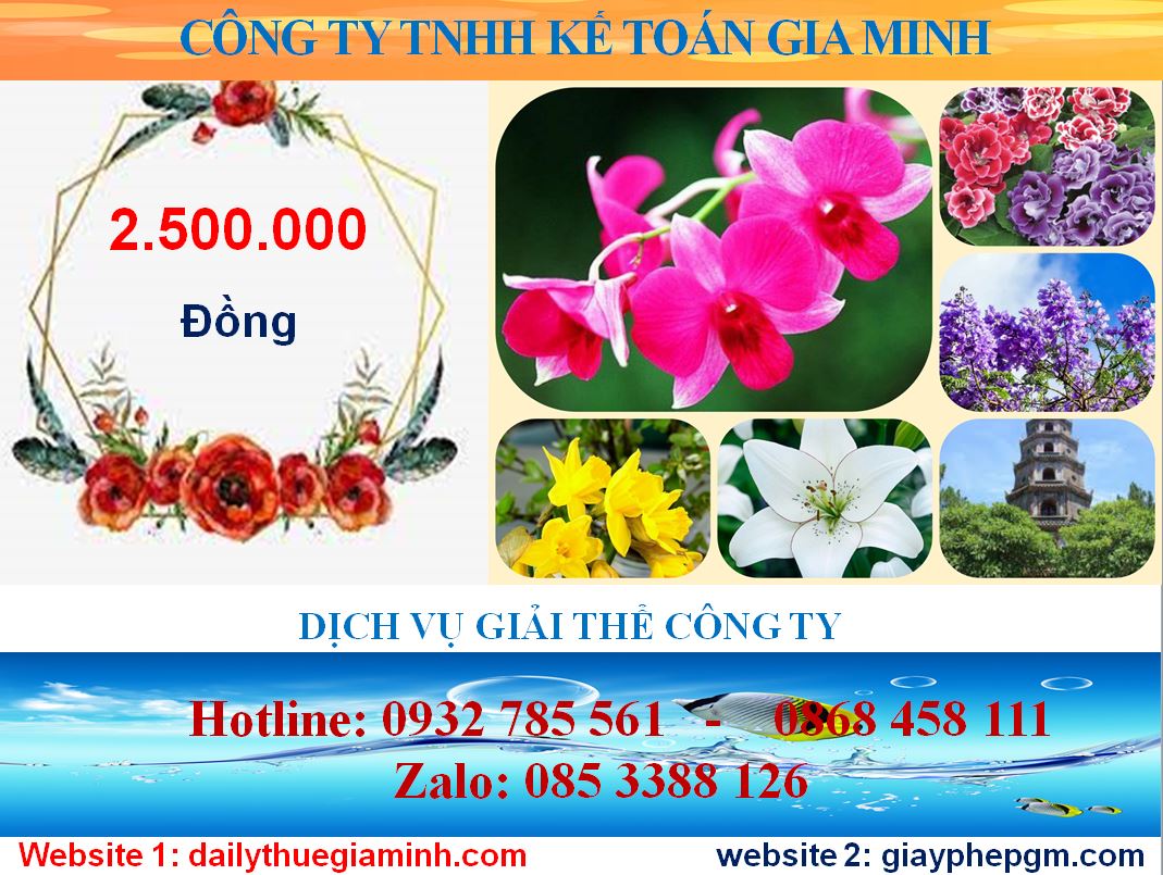 Tư vấn giải thể công ty ở Quảng Nam 5 Chi phí tư vấn giải thể doanh nghiệp ở Quảng Nam