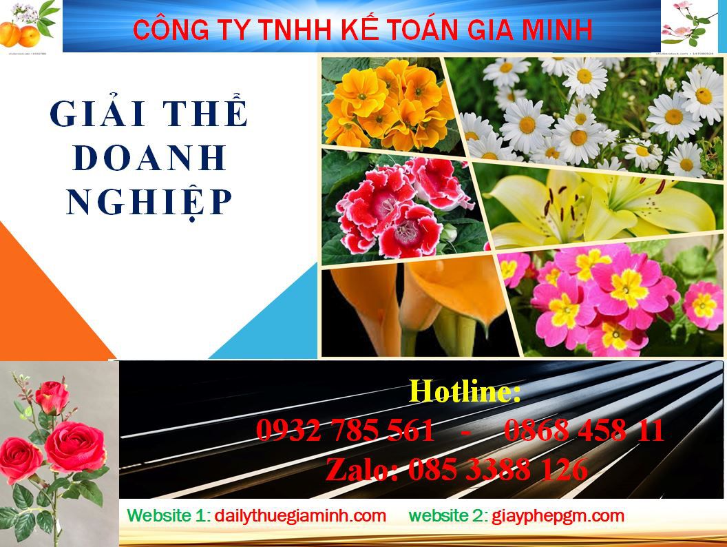 Giải thể doanh nghiệp ở Tiền Giang 1 Thủ tục giải thể doanh nghiệp ở Tiền Giang