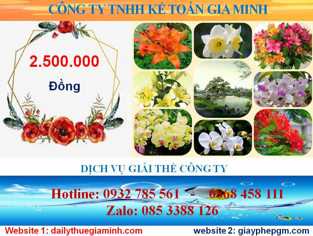 Giải thể doanh nghiệp ở Tiền Giang 2 Chi phí giải thể doanh nghiệp ở Tiền Giang