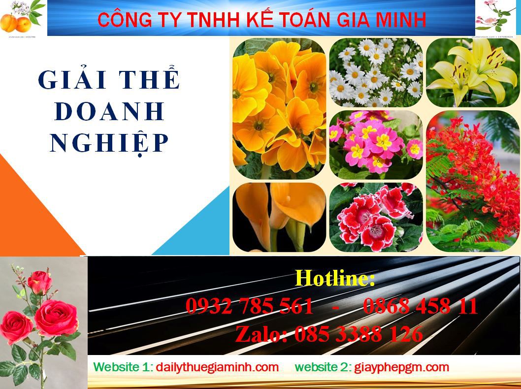 Giải thể doanh nghiệp ở TPHCM 1 Thủ tục giải thể doanh nghiệp ở TPHCM