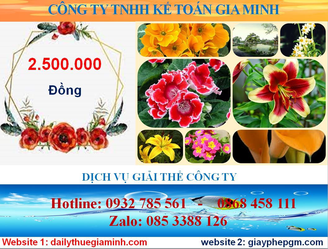 Giải thể doanh nghiệp ở TPHCM 2 Chi phí giải thể doanh nghiệp ở TPHCM