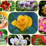 Giải thể doanh nghiệp ở TPHCM 3 Muốn giải thể doanh nghiệp ở TPHCM