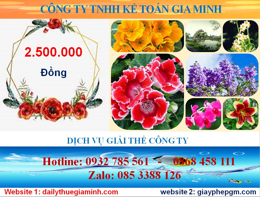 Tư vấn giải thể công ty ở Vĩnh Phúc 5 Chi phí tư vấn giải thể doanh nghiệp ở Vĩnh Phúc