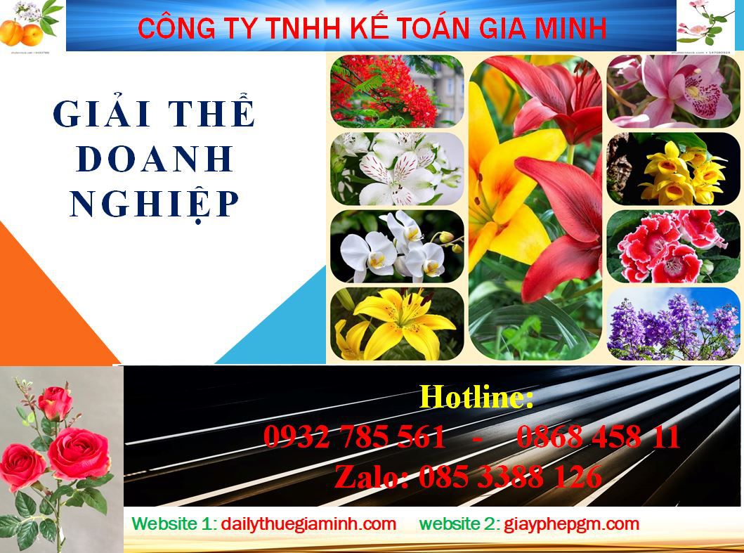 Giải thể doanh nghiệp ở Vĩnh Phúc 4 Thủ tục thành lập công ty ở Vĩnh Phúc