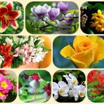 Giải thể doanh nghiệp ở Vĩnh Phúc 6 Muốn giải thể doanh nghiệp ở Vĩnh Phúc