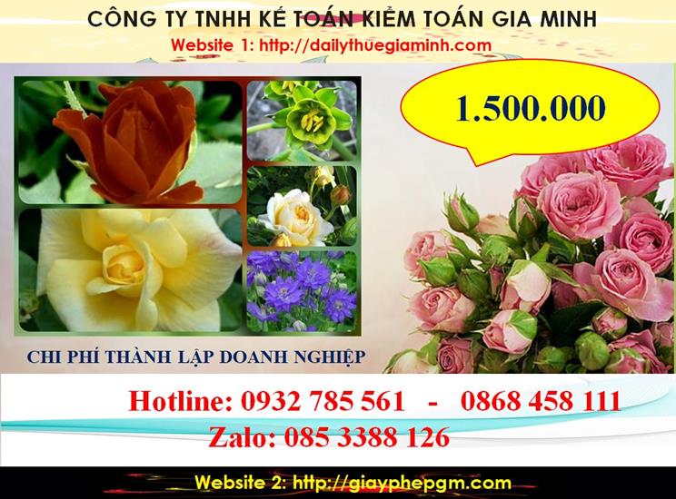 Hướng dẫn thủ tục thành lập công ty tại Bắc Kạn 5 Bảng giá thủ tục thành lập công ty tại Bắc Kạn
