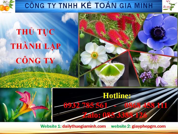 Hướng dẫn thủ tục thành lập công ty tại Bắc Ninh 4 Hướng dẫn thủ tục thành lập công ty tại Bắc Ninh