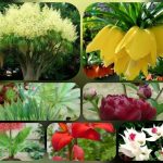 Hướng dẫn thủ tục thành lập công ty tại Bắc Ninh 6 Được hướng dẫn thủ tục thành lập công ty tại Bắc Ninh
