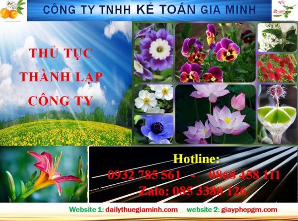 Hướng dẫn thủ tục thành lập công ty tại Điện Biên 4 Hướng dẫn thủ tục thành lập công ty tại Điện Biên
