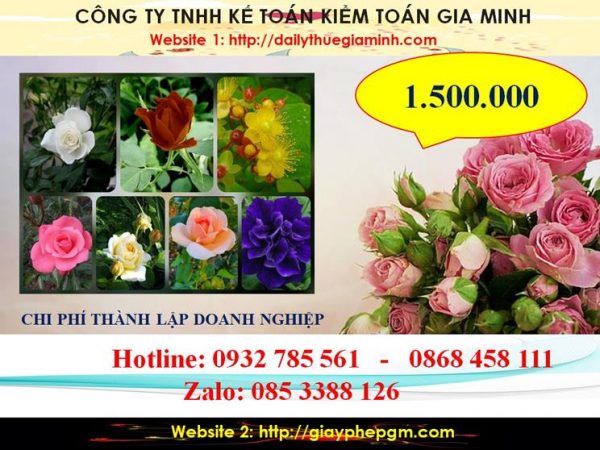 Hướng dẫn thủ tục thành lập công ty tại Điện Biên 5 Bảng giá thủ tục thành lập công ty tại Điện Biên