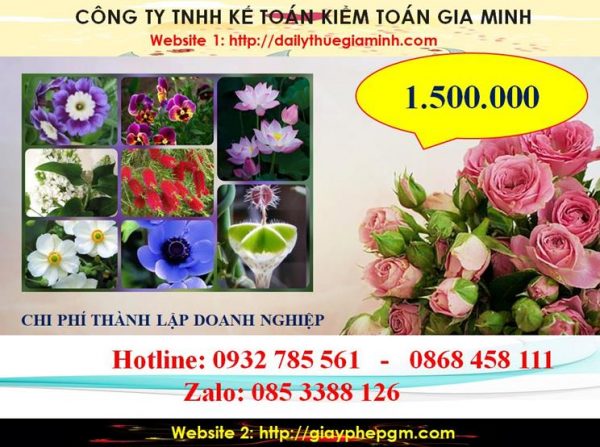 Hướng dẫn thủ tục thành lập công ty tại Hà Nam 5 Bảng giá thủ tục thành lập công ty tại Hà Nam