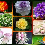Hướng dẫn thủ tục thành lập công ty tại Hà Nam 6 Được hướng dẫn thủ tục thành lập công ty tại Hà Nam
