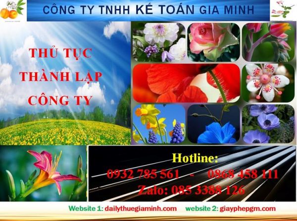 Hướng dẫn thủ tục thành lập công ty tại Hà Nam 4 Hướng dẫn thủ tục thành lập công ty tại Hà Nam
