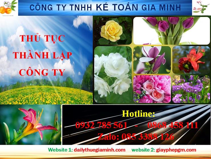 Hướng dẫn thủ tục thành lập công ty tại Hà Nội 1 Hướng dẫn thủ tục thành lập công ty tại Hà Nội
