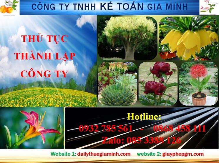 Hướng dẫn thủ tục thành lập công ty tại Huyện Bắc Tân Uyên