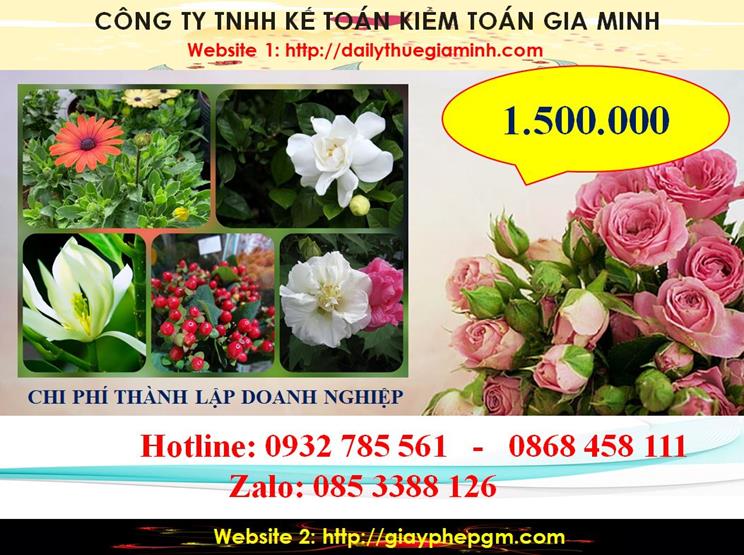 Bảng giá thủ tục thành lập công ty tại Huyện Bàu Bàng