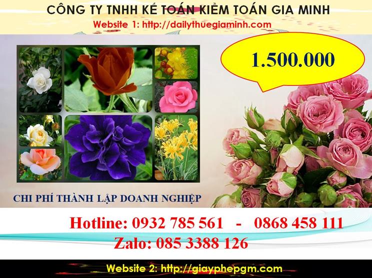 Hướng dẫn thủ tục thành lập công ty tại Huyện Củ Chi 5 Bảng giá thủ tục thành lập công ty tại Huyện Củ Chi