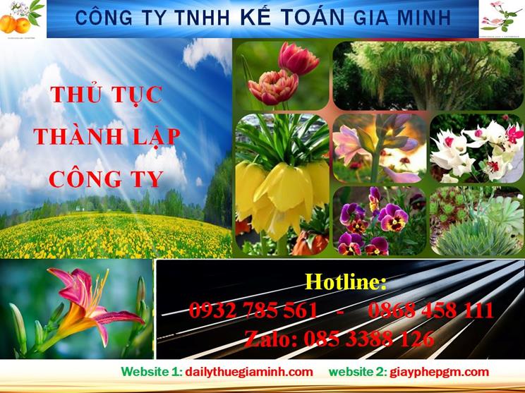 Hướng dẫn thủ tục thành lập công ty tại Huyện Củ Chi 4 Hướng dẫn thủ tục thành lập công ty tại Huyện Củ Chi