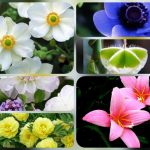 Hướng dẫn thủ tục thành lập công ty tại Ninh Thuận 6 Được hướng dẫn thủ tục thành lập công ty tại Ninh Thuận