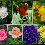 Hướng dẫn thủ tục thành lập công ty tại Quận 1 6 Được hướng dẫn thủ tục thành lập công ty tại Quận 1
