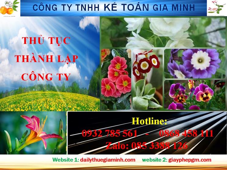 Hướng dẫn thủ tục thành lập công ty tại Quận 1 4 Hướng dẫn thủ tục thành lập công ty tại Quận 1