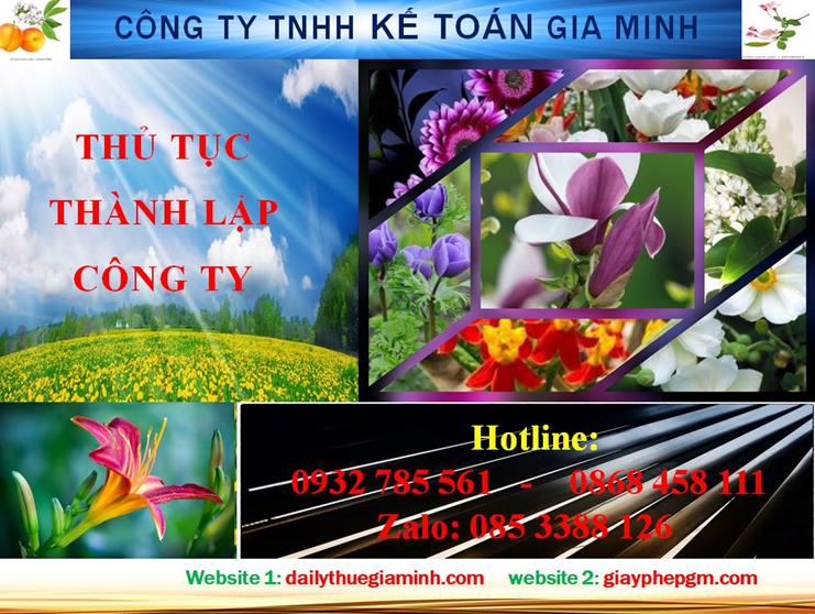 Hướng dẫn thủ tục thành lập công ty tại Quận 11
