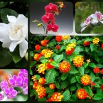 Hướng dẫn thủ tục thành lập công ty tại Quận 12 6 Được hướng dẫn thủ tục thành lập công ty tại Quận 12