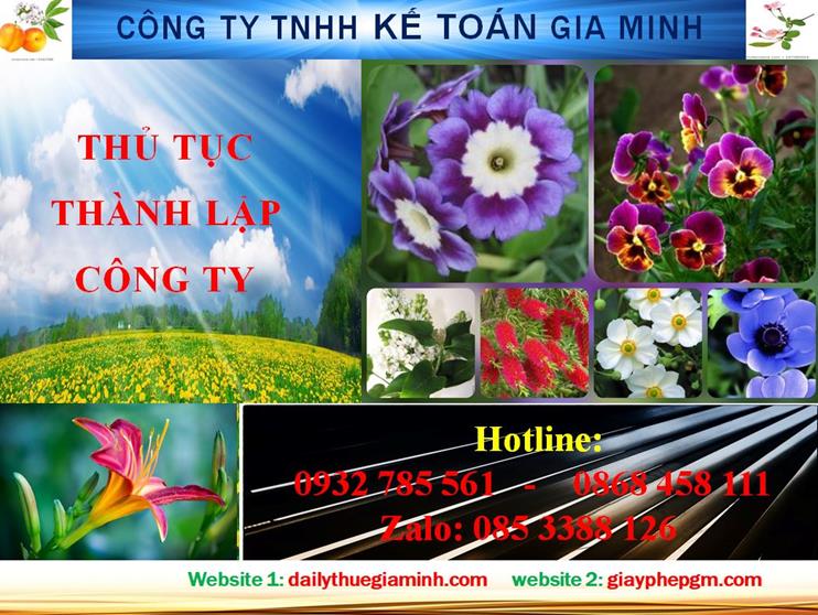 Hướng dẫn thủ tục thành lập công ty tại Quận 12 4 Hướng dẫn thủ tục thành lập công ty tại Quận 12