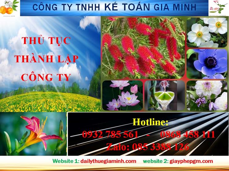 Hướng dẫn thủ tục thành lập công ty tại Quận Bình Tân 4 Hướng dẫn thủ tục thành lập công ty tại Quận Bình Tân