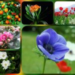 Hướng dẫn thủ tục thành lập công ty tại Quận Bình Tân 6 Được hướng dẫn thủ tục thành lập công ty tại Quận Bình Tân