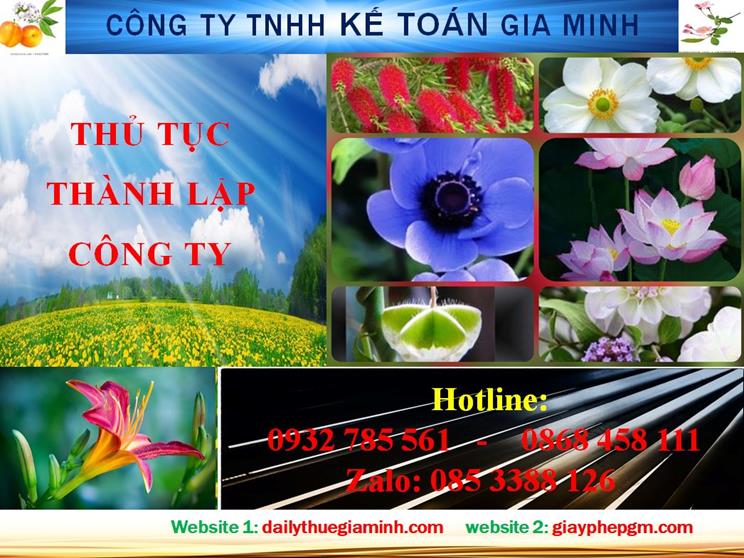 Hướng dẫn thủ tục thành lập công ty tại TP HCM