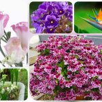 Hướng dẫn thủ tục thành lập doanh nghiệp tại Bắc Kạn 6 Cần thành lập doanh nghiệp tại Bắc Kạn