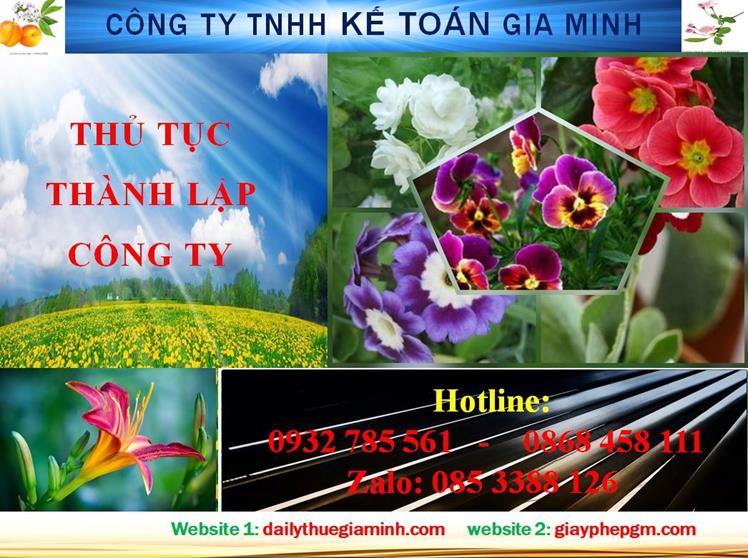 Hướng dẫn thủ tục thành lập doanh nghiệp tại Bắc Kạn 4 Thủ tục thành lập doanh nghiệp tại Bắc Kạn