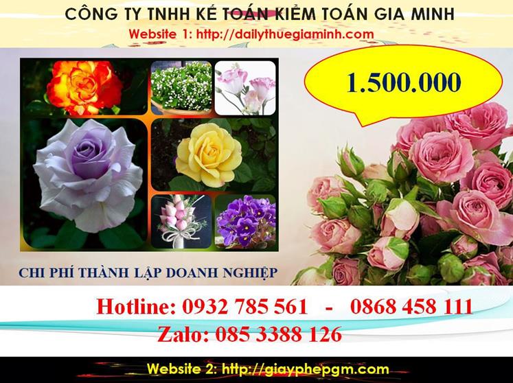 Hướng dẫn thủ tục thành lập doanh nghiệp tại Điện Biên 5 Chi phí thành lập doanh nghiệp tại Điện Biên
