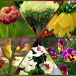 Hướng dẫn thủ tục thành lập doanh nghiệp tại Điện Biên 6 Cần thành lập doanh nghiệp tại Điện Biên