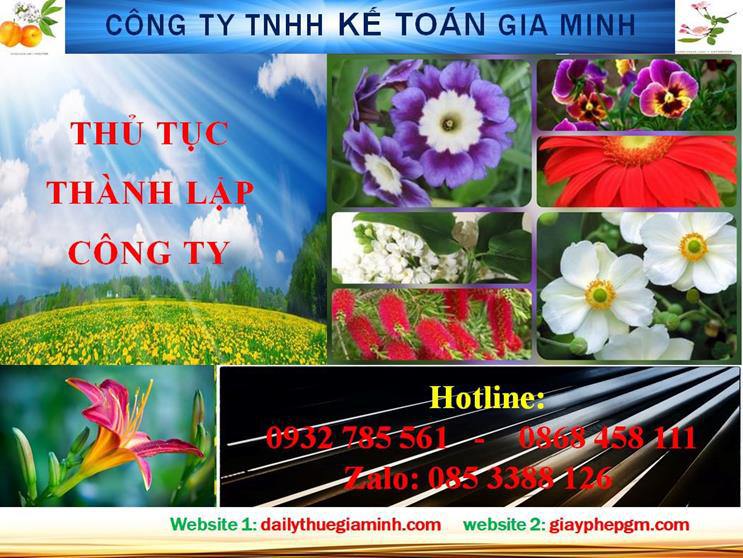 Hướng dẫn thủ tục thành lập doanh nghiệp tại Điện Biên 4 Thủ tục thành lập doanh nghiệp tại Điện Biên