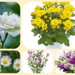 Hướng dẫn thủ tục thành lập doanh nghiệp tại Hà Nội 6 Cần thành lập doanh nghiệp tại Hà Nội