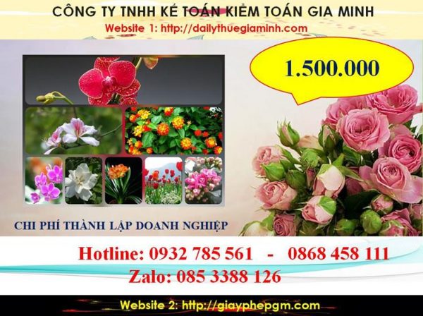 Chi phí thành lập doanh nghiệp tại Huyện Bắc Tân Uyên