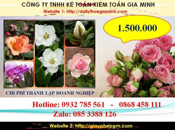 Chi phí thành lập doanh nghiệp tại Huyện Phú Giáo