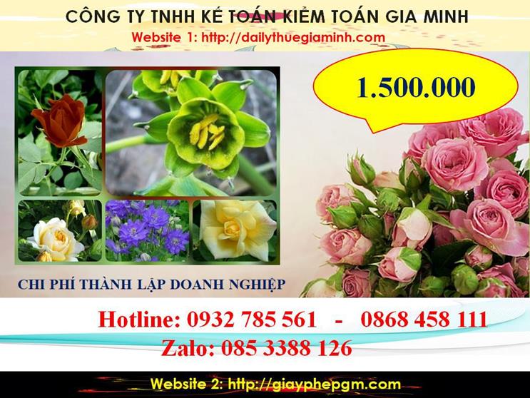 Hướng dẫn thủ tục thành lập doanh nghiệp tại Ninh Thuận 5 Chi phí thành lập doanh nghiệp tại Ninh Thuận