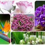 Hướng dẫn thủ tục thành lập doanh nghiệp tại Ninh Thuận 6 Cần thành lập doanh nghiệp tại Ninh Thuận