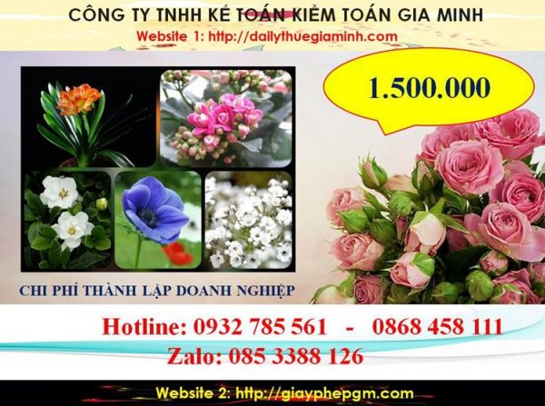 Hướng dẫn thủ tục thành lập doanh nghiệp tại Quận 1 5 Chi phí thành lập doanh nghiệp tại Quận 1