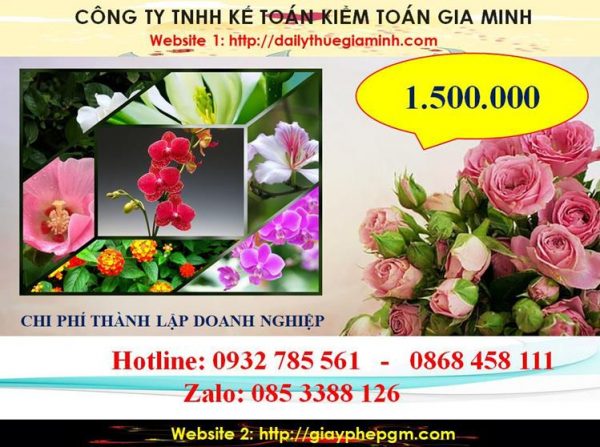 Hướng dẫn thủ tục thành lập doanh nghiệp tại Quận 8 9 Chi phí thành lập doanh nghiệp tại Quận 8