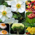 Hướng dẫn thủ tục thành lập doanh nghiệp tại Quận 8 10 Cần thành lập doanh nghiệp tại Quận 8