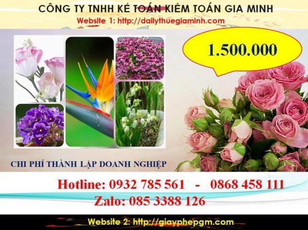 Hướng dẫn thủ tục thành lập doanh nghiệp tại Quận Bình Tân 9 Chi phí thành lập doanh nghiệp tại Quận Bình Tân